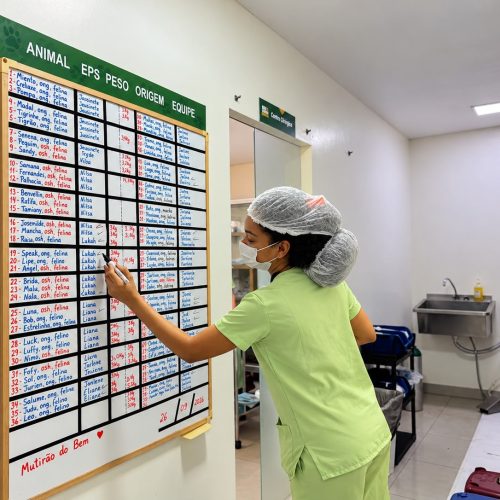 Programa de castração da Prefeitura de Senador Canedo supera 4 mil procedimentos