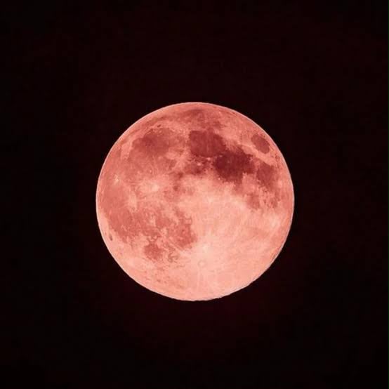 “Lua de Morango” poderá ser observada em Goiás nesta segunda-feira