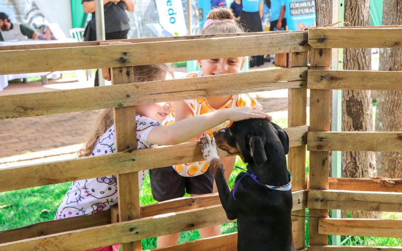 Senador Canedo se aproxima de 600 adoções e fortalece políticas de Bem-Estar Animal
