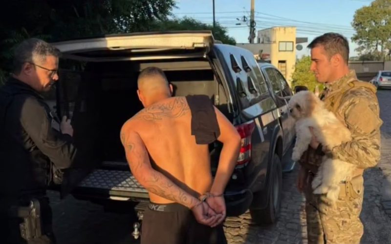 Cachorro permanece ao lado do tutor durante prisão e cena repercute nas redes sociais