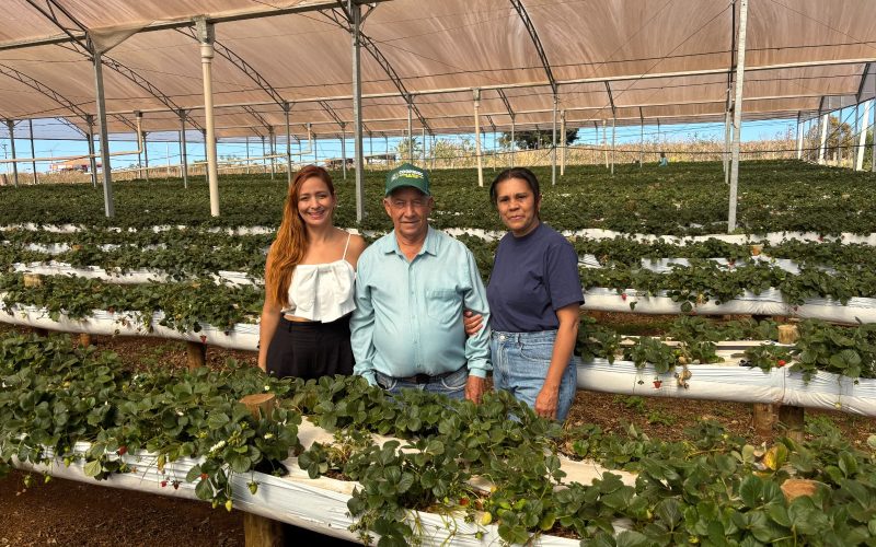 Da terra para a escola: Senador Canedo aproxima crianças dos alimentos produzidos pela agricultura familiar
