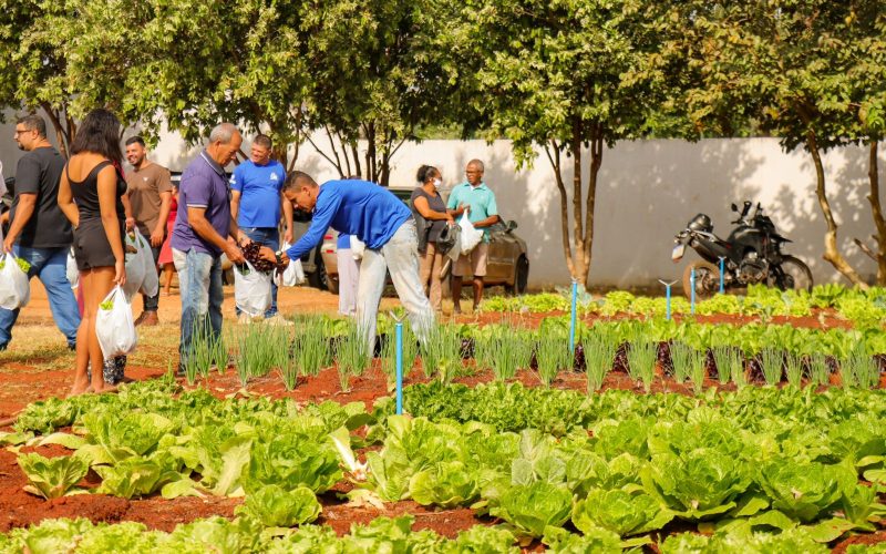 SAÚDE NA MESA: Projeto Mundo Verde entrega alimentos orgânicos à comunidade de Senador Canedo