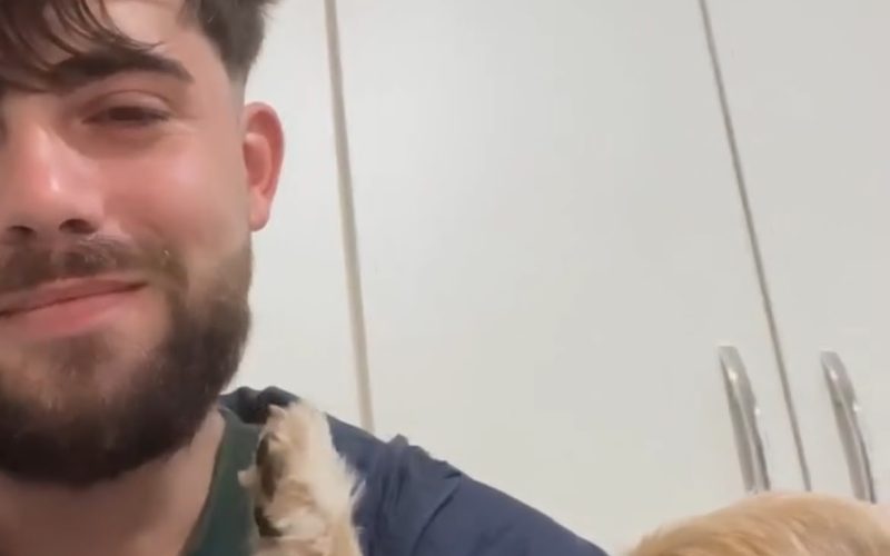 AMOR QUE TRANSBORDA! DOGUINHA ACARICIA ROSTO DO TUTOR COM A PATA E GANHA CHUVA DE BEIJOS