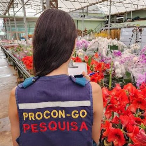 Preço de flores para Finados varia de R$ 8,50 a R$ 180 na Grande Goiânia e região , aponta pesquisa
