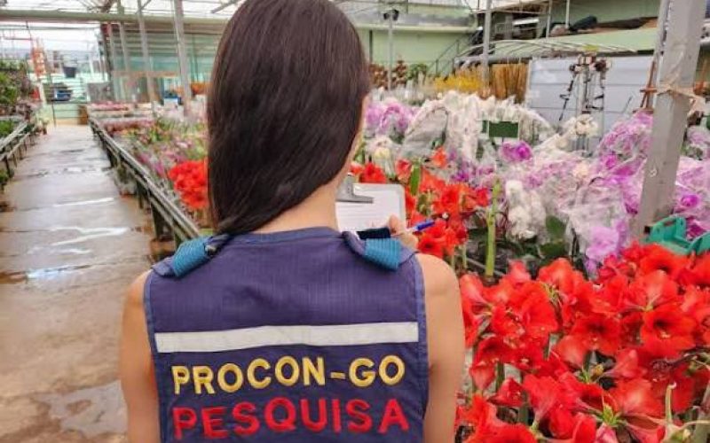 Preço de flores para Finados varia de R$ 8,50 a R$ 180 na Grande Goiânia e região , aponta pesquisa