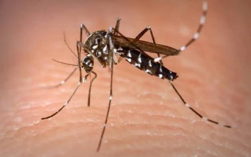 Apenas 33% dos adolescentes que iniciaram vacinação contra dengue retornaram para segunda dose em Goiás