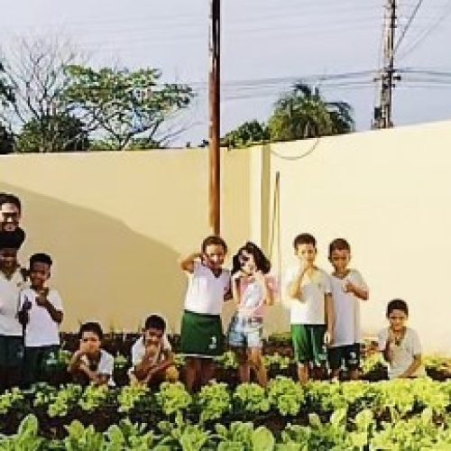 Escola José Botelho conscientiza crianças sobre meio ambiente com projetos práticos
