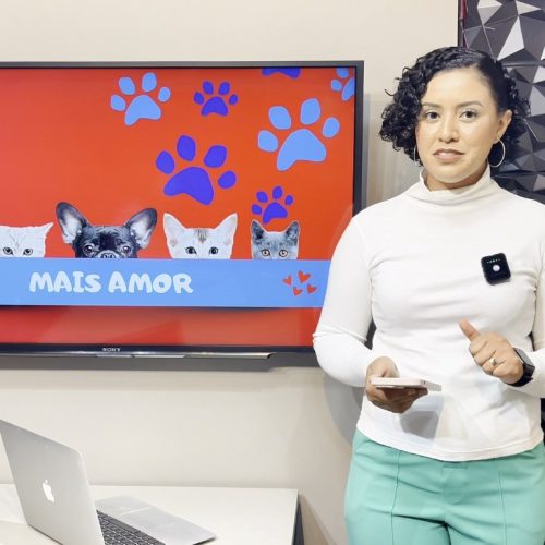 🐶❤️💙Campanha de adoção: cães resgatados buscam um lar para toda a vida.