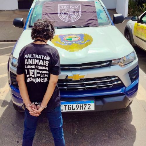 Mulher é detida após ser flagrada furtando peças de picanha em Senador Canedo